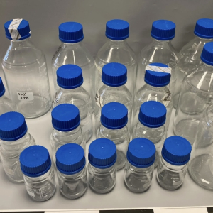 Blue-capped reagent bottles – laboratory glassware props