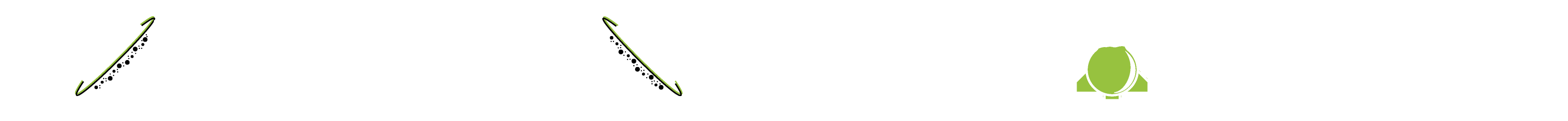Robert Viola's Labship